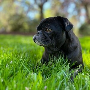 Meet your Posher, Tina